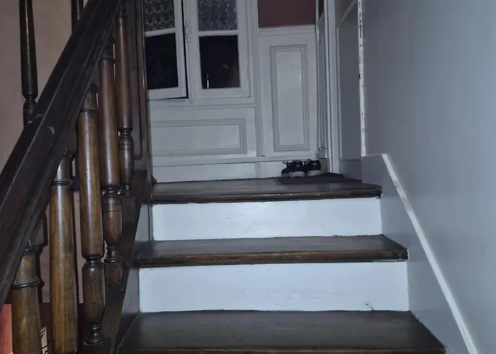 Basic Cozy שואזי-לה-רואה